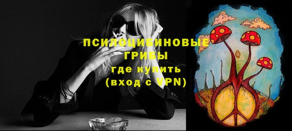 прущие крисы Надым