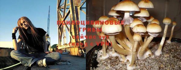 ГАЛЛЮЦИНОГЕННЫЕ ГРИБЫ Медногорск